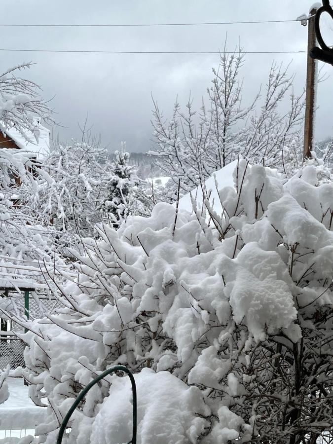 Ferienwohnung Zabava Jaremtsche Exterior foto