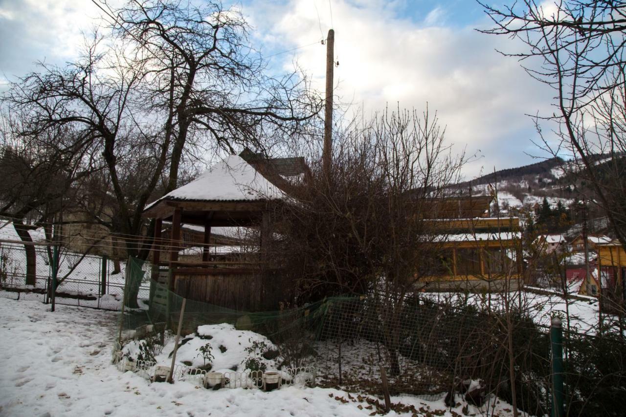 Ferienwohnung Zabava Jaremtsche Exterior foto